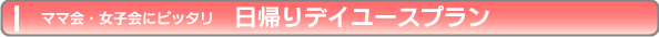 日帰りデイユースプラン